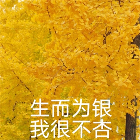 爽啪啪gif动态图第38期：当代年轻人生活写照,第38期动态图引爆网络共鸣-4