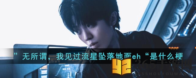 ”无所谓，我见过流星坠落地面eh“是什么梗