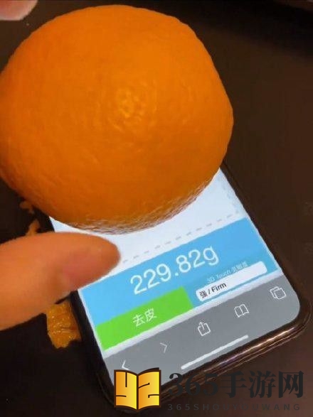 touchscale使用手机介绍